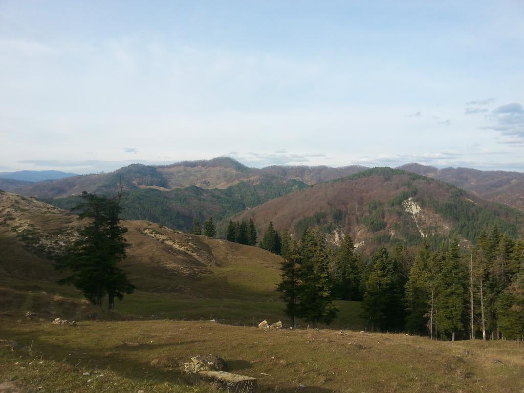 Pensiunea Tara Vulcăneasa 외부 사진